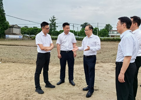 胡云赴眉山调研耕地；だ煤透叱叨扰┨锝ㄉ韫ぷ