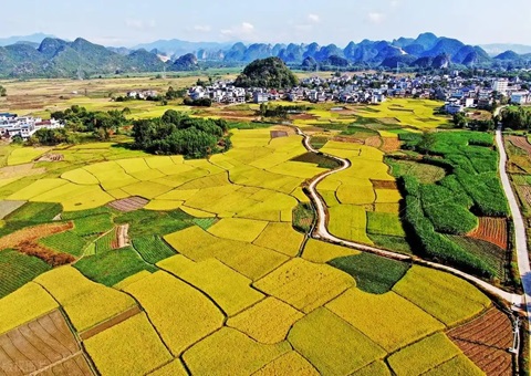 强化“指挥棒”作用&nbsp;&nbsp;柳州市发放500万元耕地；ぁ凹だ彀