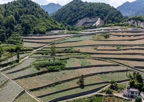 “三资”鼎新激活“三荒”资源  &nbsp;&nbsp;湖北宣恩蹚诞生态价值转化新蹊径