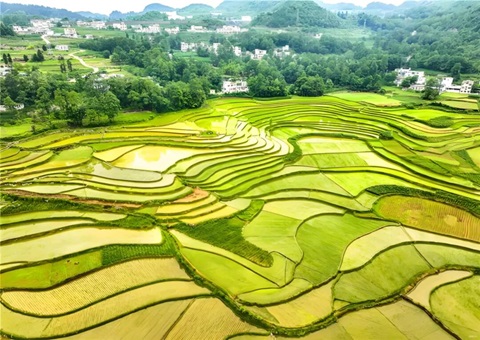 贵州省首份地皮供给电子合同成功签定