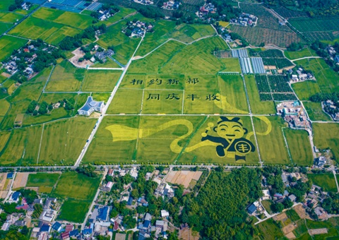 成都颁布耕地；す婊〗10年这样筑牢“天府粮仓”根基