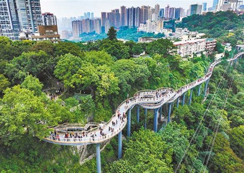 山城步路里的“大路理”