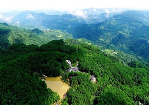 四川政银合作赋能“天府丛林四库”建设