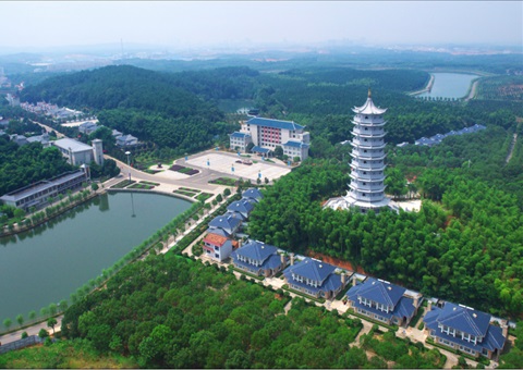 湖北：用好“一张图” ，智治有支持