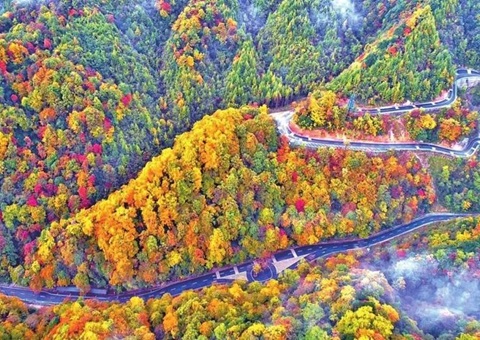 结合国教科文组织专家对巴中光雾山—诺水河世界地质公园发展再评估工作
