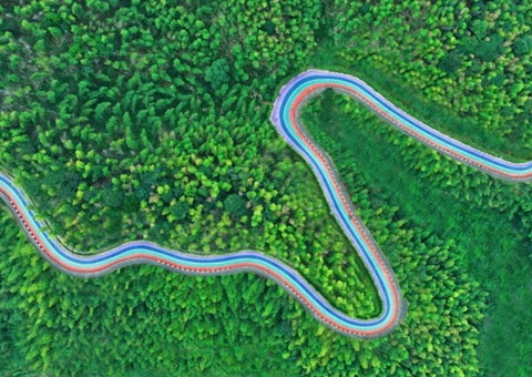组合供给出新招，竹海收益节节高——桃江县“桃花江竹海”天然资源资产组合供给推动生态产品价值实现案例