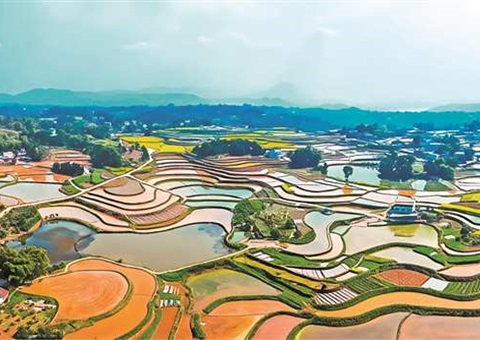 凌驾一条省界限   川渝同耕共享田