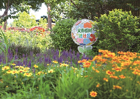 北京以微花圃打造生态共治共享样板