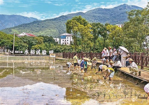 方寸碎田变千亩沃野&nbsp;&nbsp;厦门首个全域地皮综合整治试点项目成为文旅打卡地